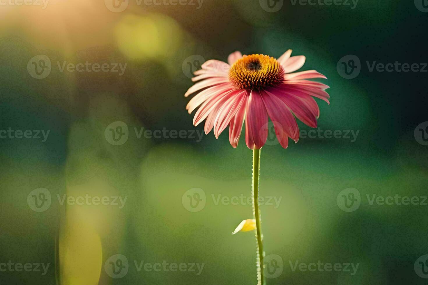 un' rosa fiore sta nel davanti di un' verde campo. ai-generato foto