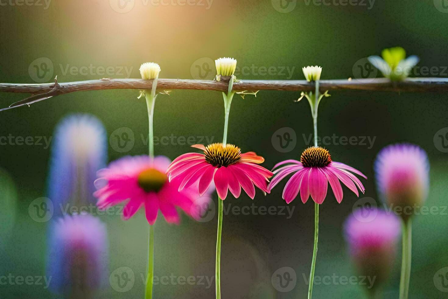 foto sfondo il sole, fiori, il sole, il fiori, il sole, il fiori,. ai-generato