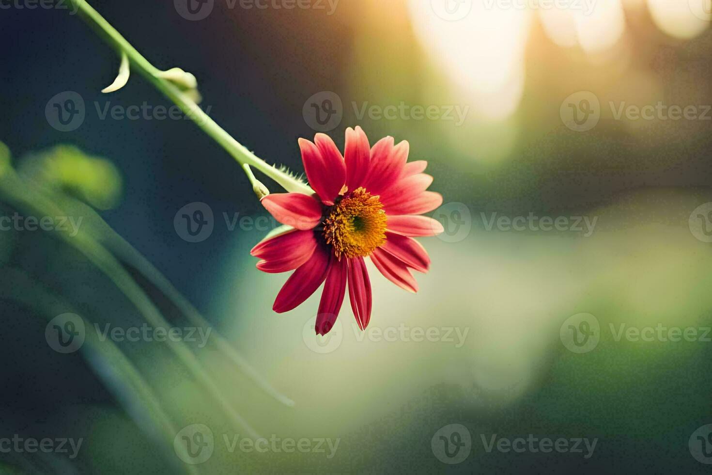 un' singolo rosso fiore è nel il primo piano. ai-generato foto