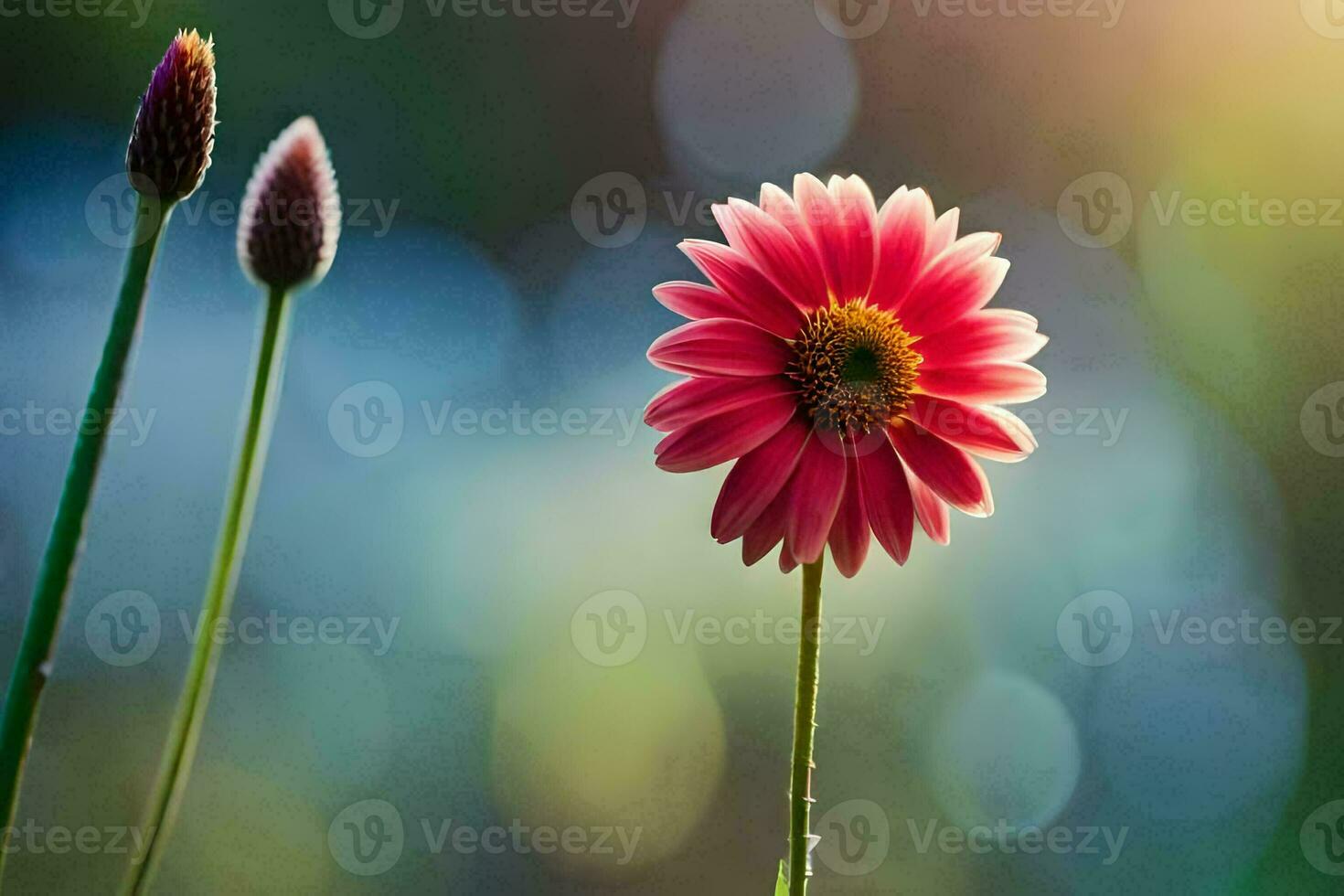 un' rosa fiore è in piedi nel davanti di un' verde sfondo. ai-generato foto