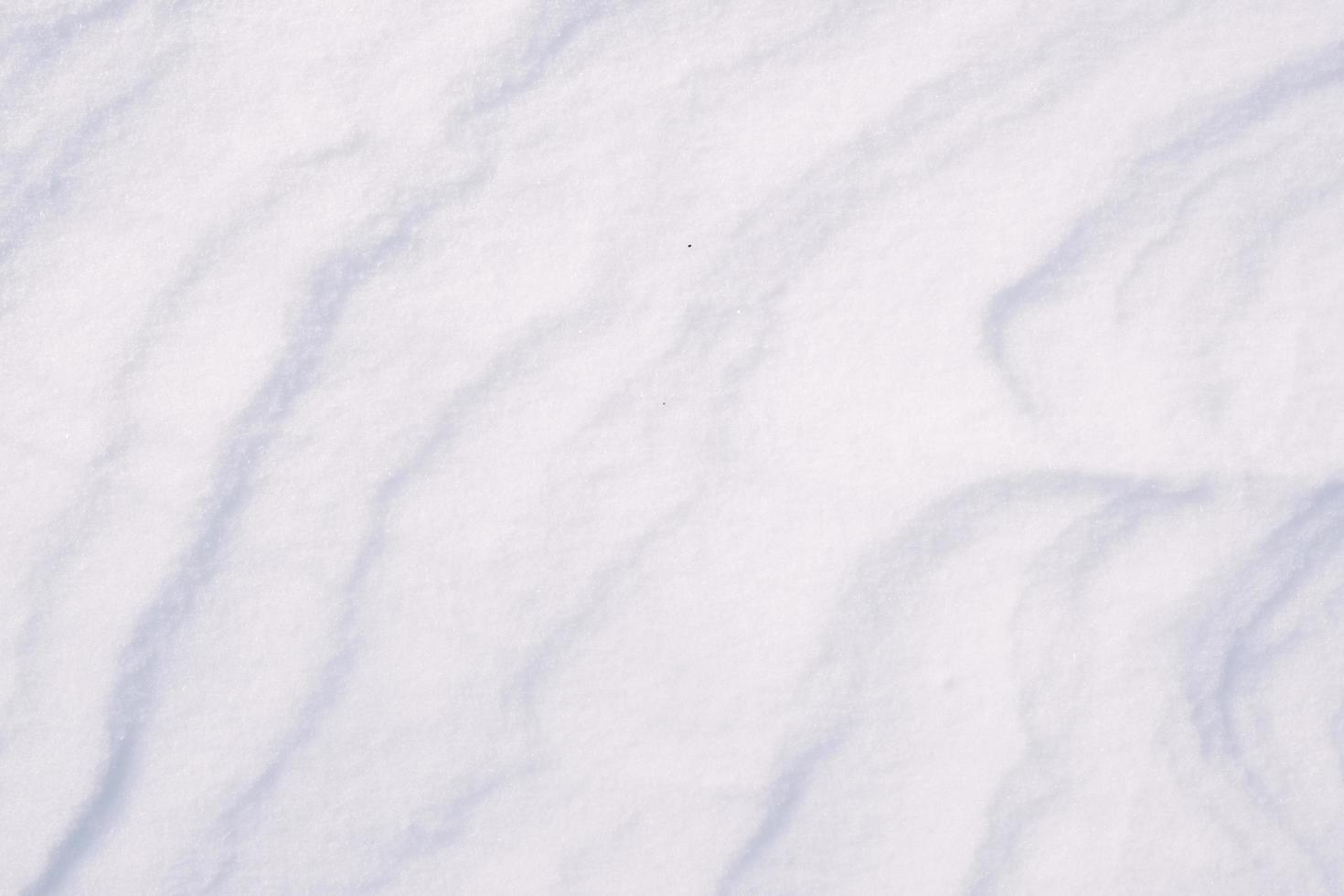 struttura pulita della neve bianca fatta di cristalli di ghiaccio foto