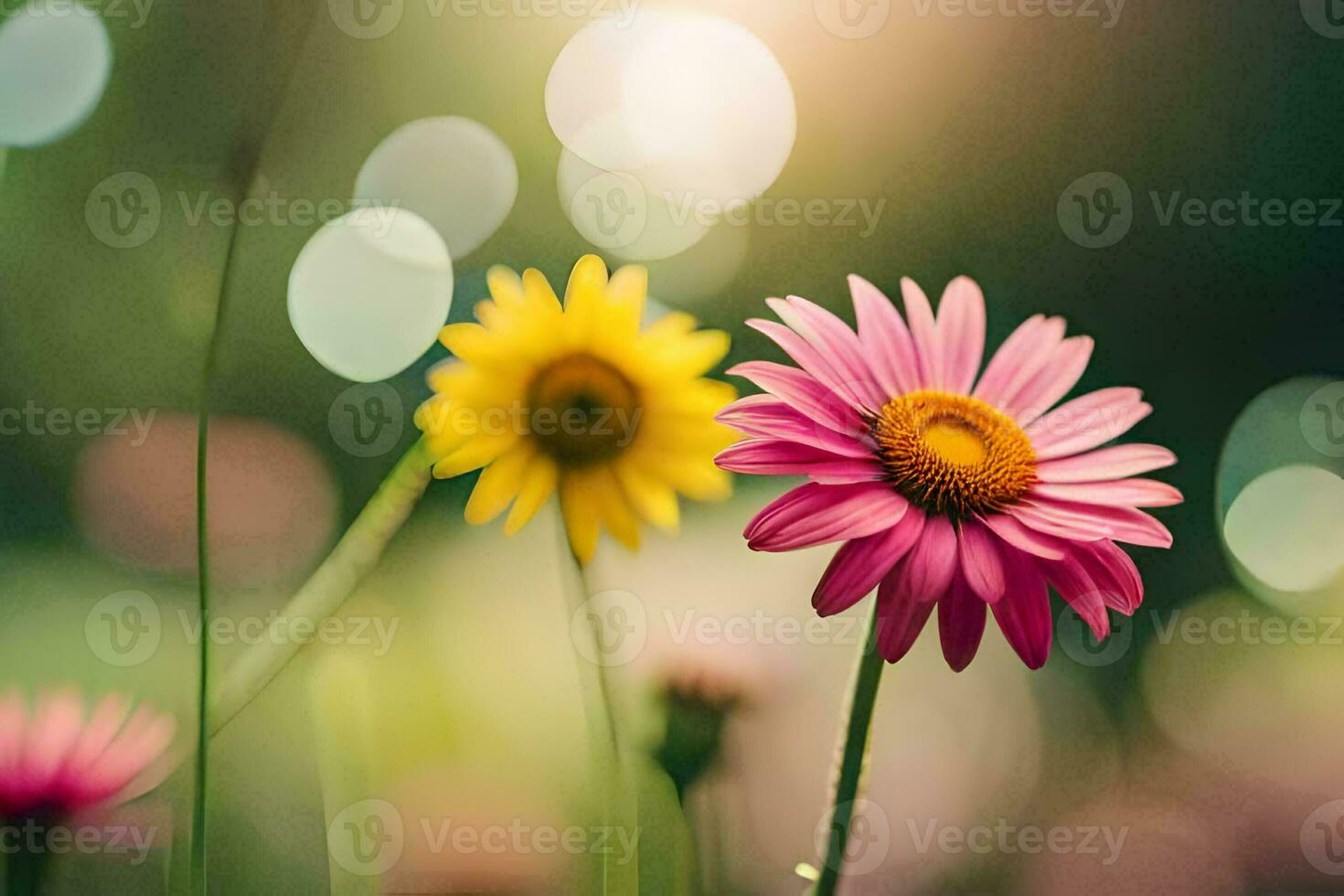 Due rosa fiori siamo in piedi nel il erba. ai-generato foto