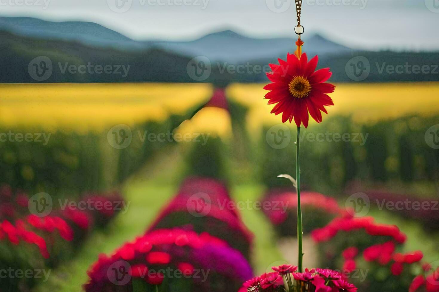 un' rosso fiore è nel un' vaso su un' campo. ai-generato foto