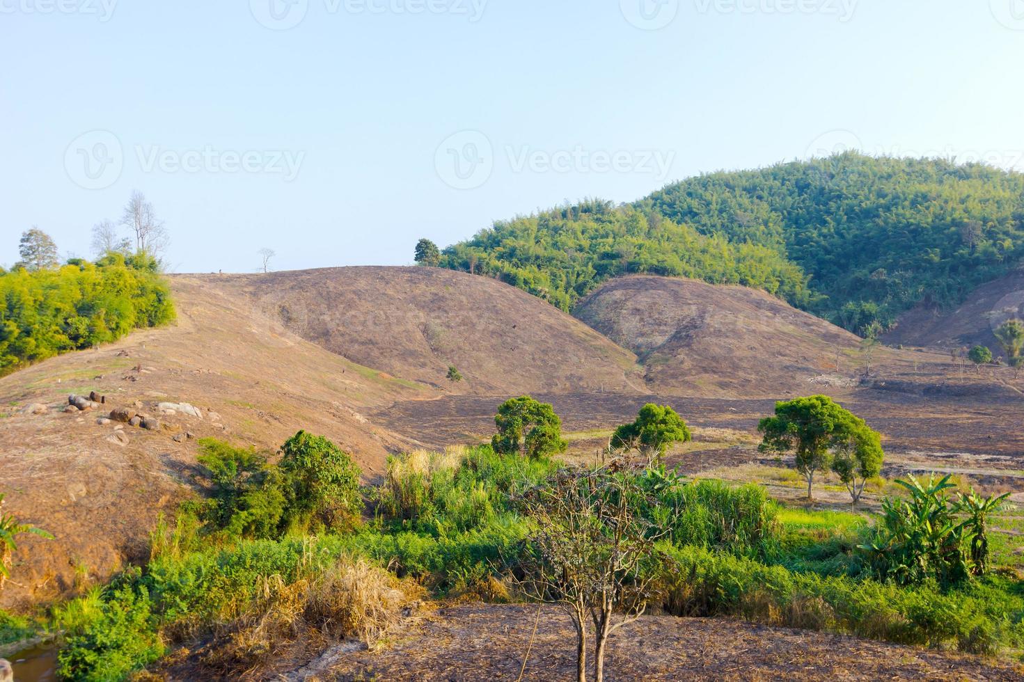deforestazione sulla montagna per l'agricoltura a chiang rai, thailandia. foto