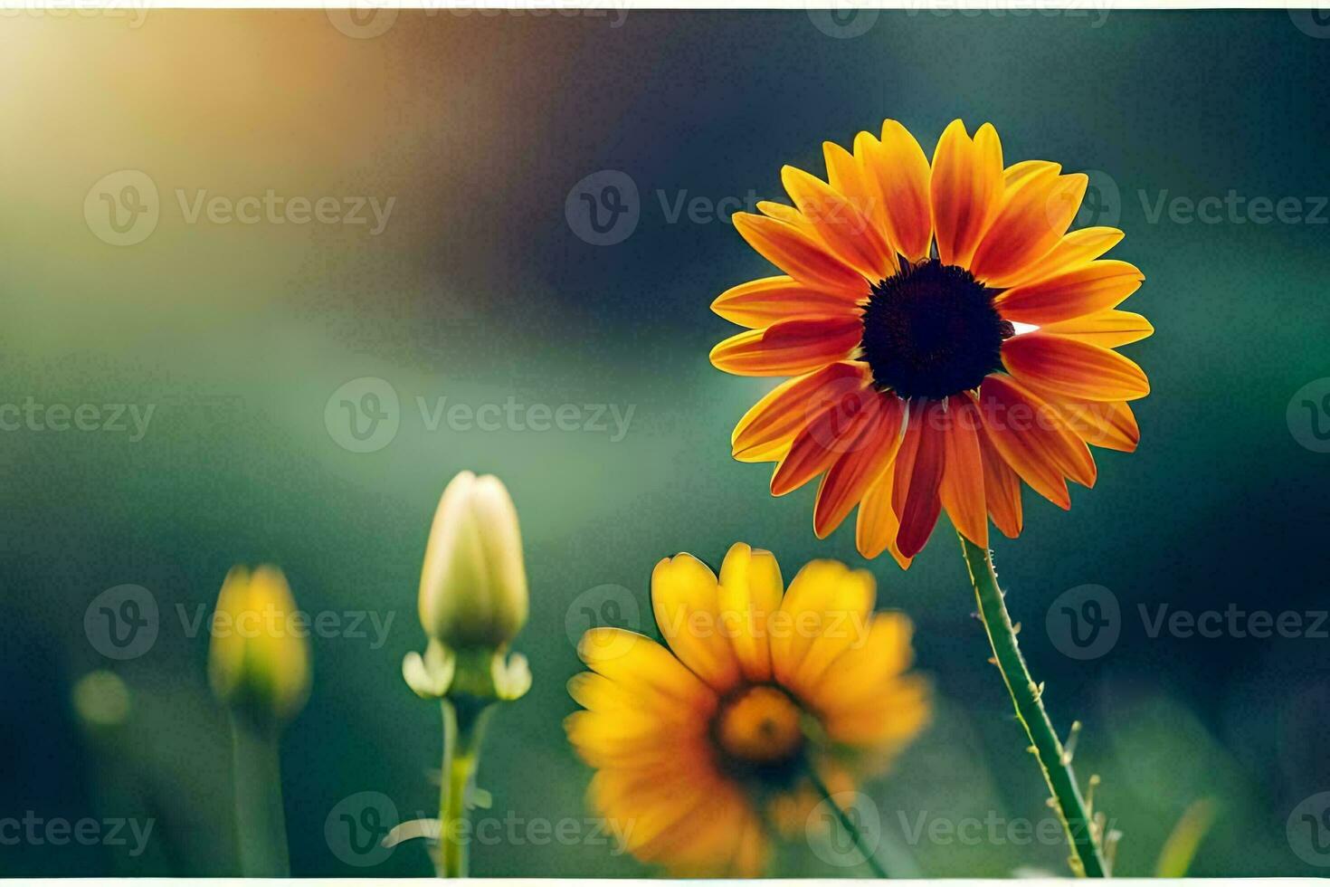 girasole, giallo, fiore, campo, verde, natura, natura sfondo, natura sfondo h. ai-generato foto