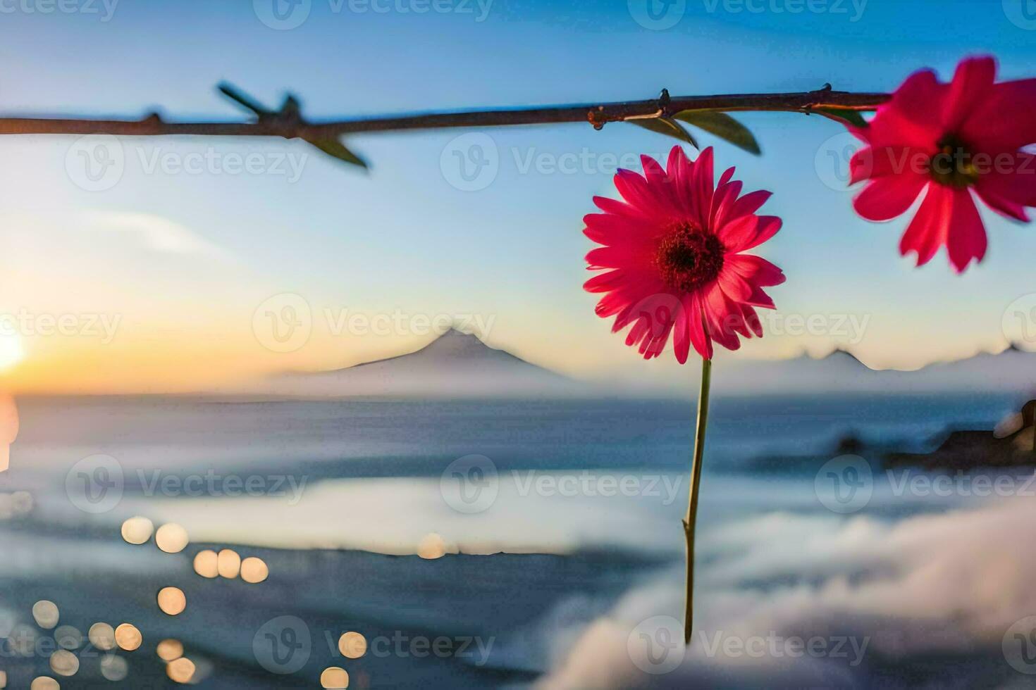 Due rosa fiori siamo su un' ramo con un' tramonto nel il sfondo. ai-generato foto