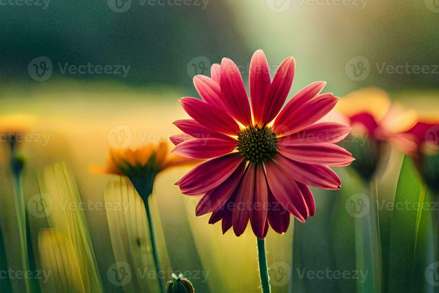 un' fiore è nel il mezzo di un' campo. ai-generato foto