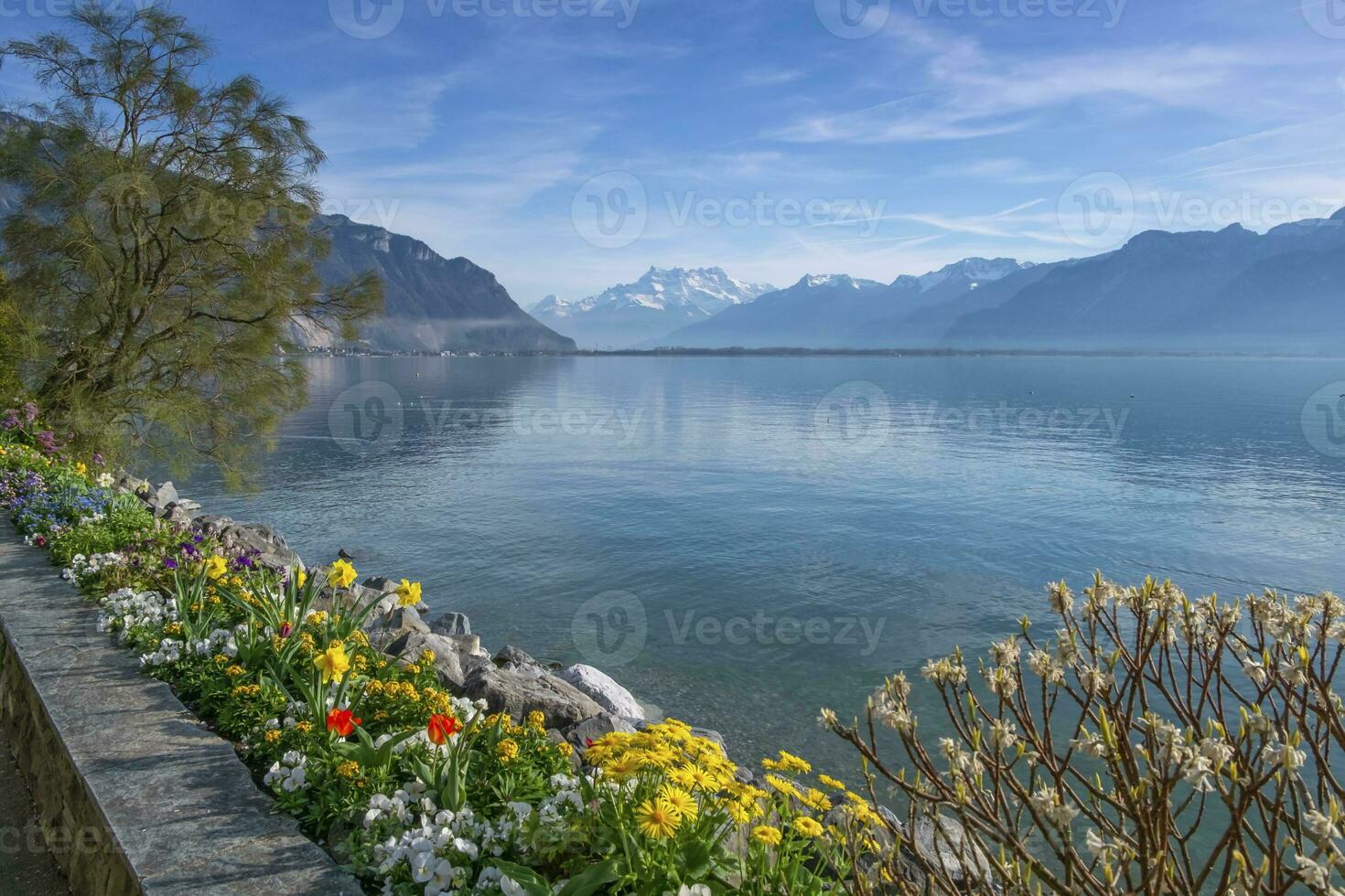 impianti e fiori Il prossimo per Ginevra lemano lago a Montreux, Svizzera foto