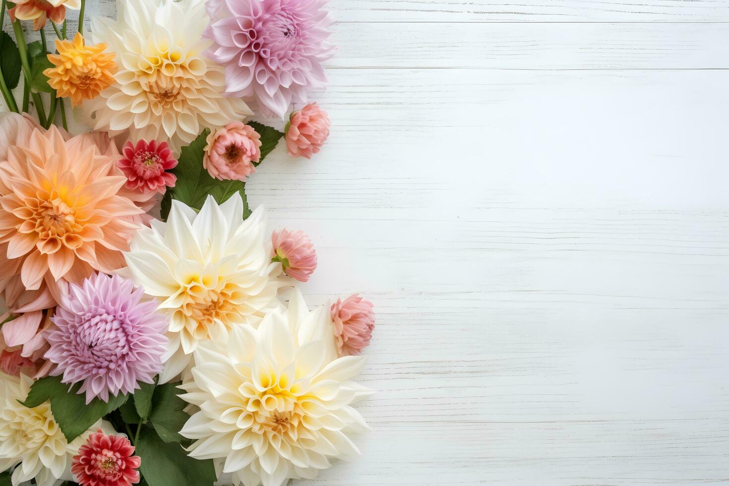 dalia fiori su bianca di legno sfondo, floreale piatto posizione. San Valentino, Da donna, madri giorno, compleanno o nozze concetto. superiore Visualizza. copia spazio. generato ai. foto