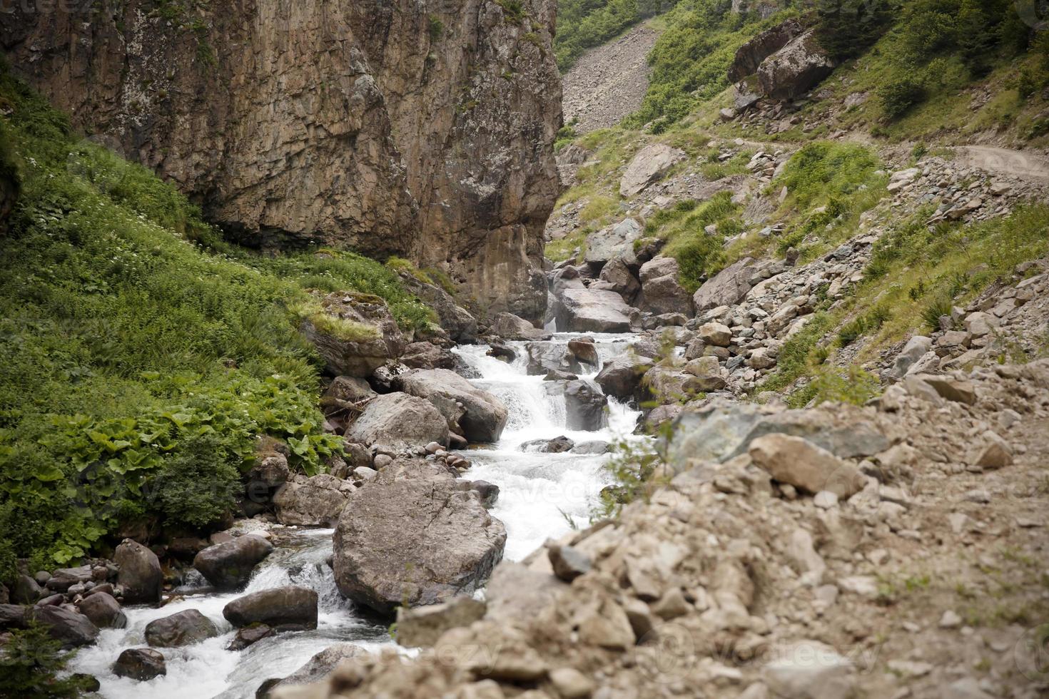 karadeniz rize gatto villaggio ruscello, tacchino, vista sull'altopiano foto