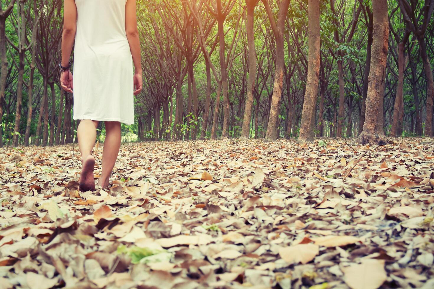 donna triste che cammina da sola nella foresta sentendosi triste e sola foto