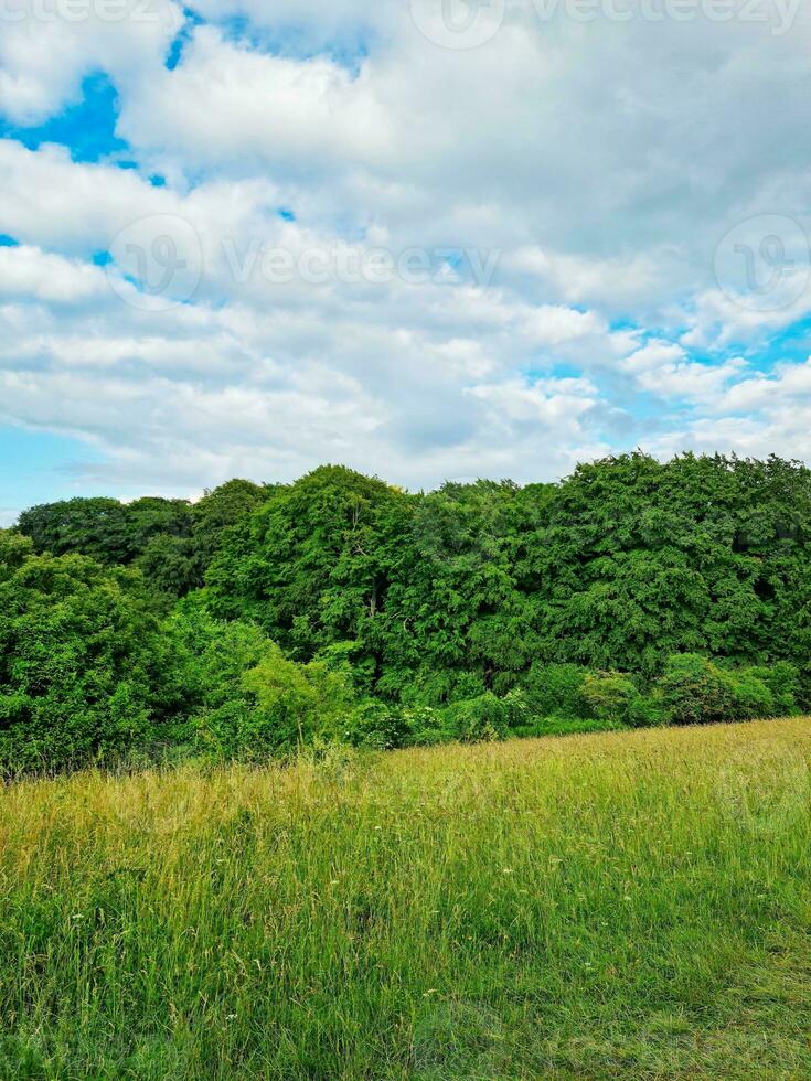 bellissimo Basso angolo Visualizza di Britannico paesaggio e campagna foto