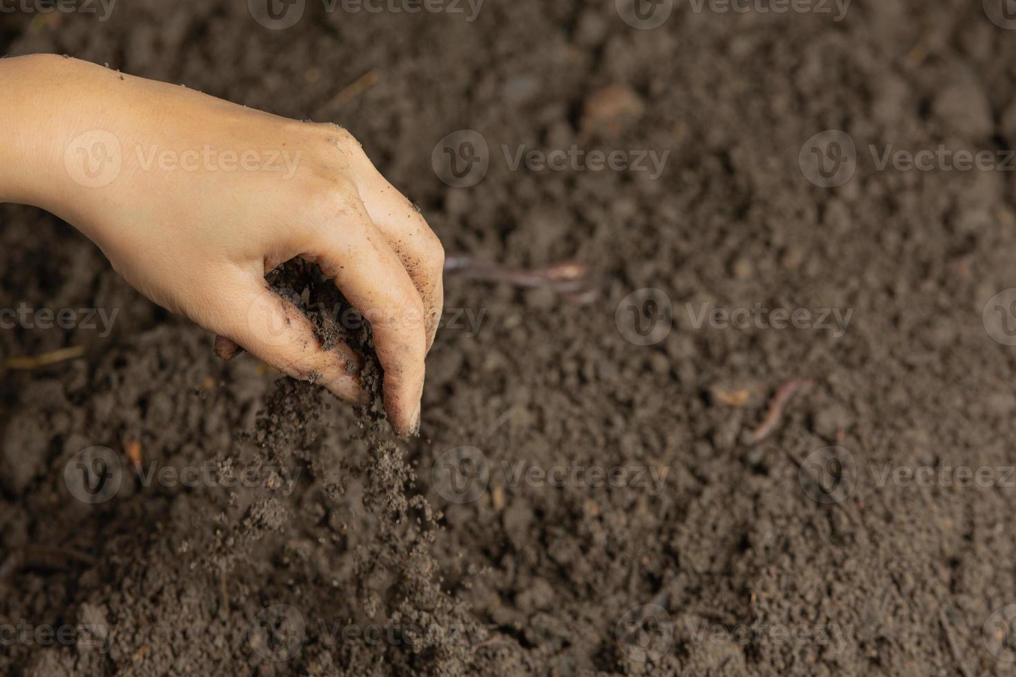 mano che tiene il terreno nero per coltivare il concetto di giornata mondiale del suolo delle colture foto