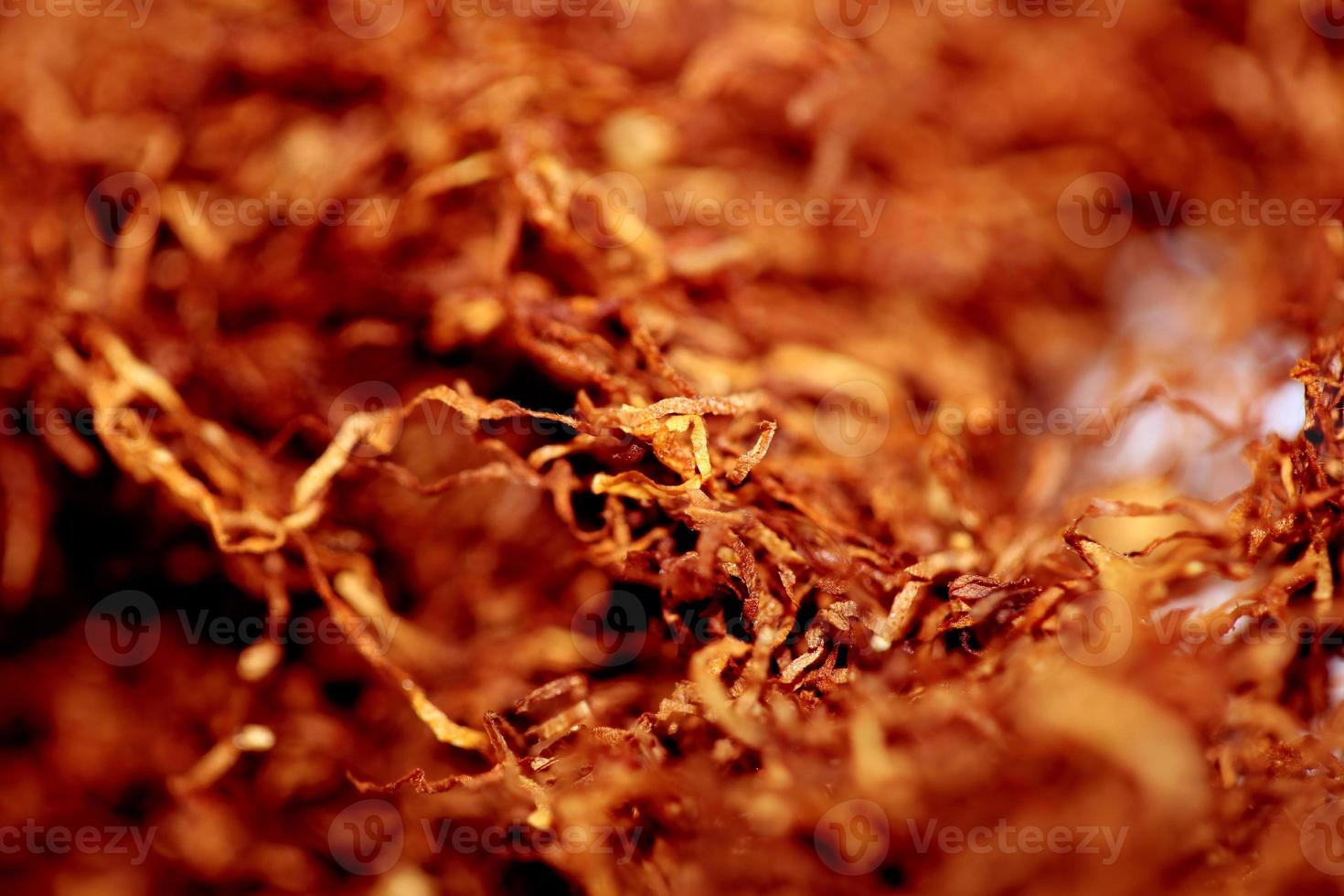 foglie di tabacco rollate da vicino sfondo stock photography stampe foto