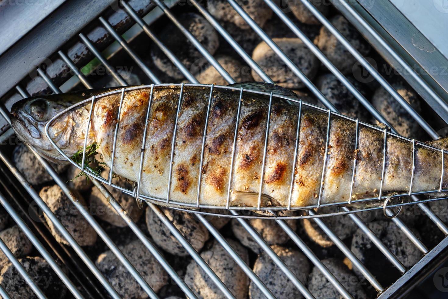 trota iridea fresca con erbe e spezie per barbecue foto