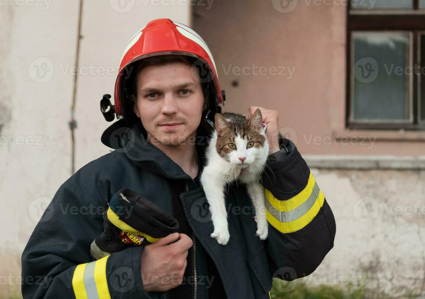 avvicinamento ritratto di eroico vigile del fuoco nel protettivo completo da uomo e rosso casco detiene salvato gatto nel il suo braccia. pompiere nel fuoco combattente operazione. foto