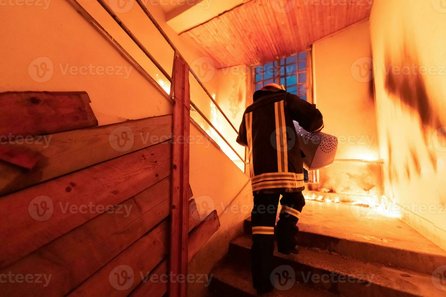 pompiere eroe trasporto gatto animale domestico animale nel trasporto Borsa scatola su a partire dal ardente edificio la zona a partire dal il fuoco incidente. salvare animale a partire dal un' pericoloso posto. lavoro di squadra concetto. foto