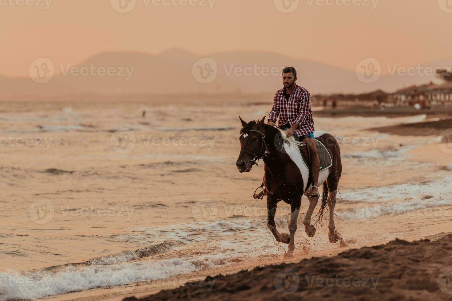 un' moderno uomo nel estate Abiti gode equitazione un' cavallo su un' bellissimo sabbioso spiaggia a tramonto. selettivo messa a fuoco foto