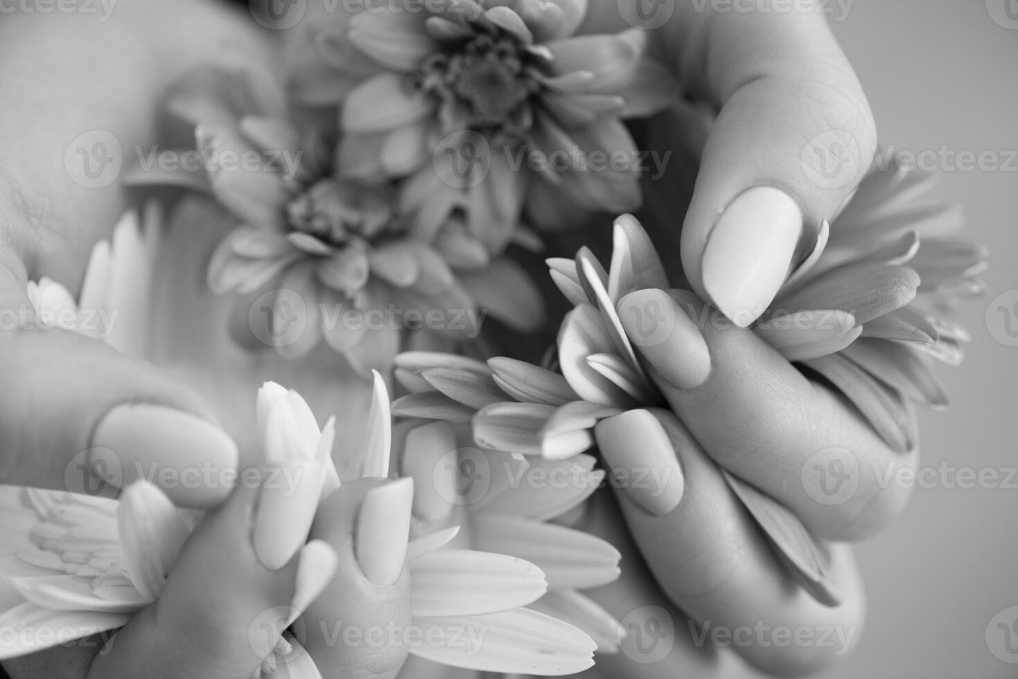 donna mani con manicure Tenere fiore foto