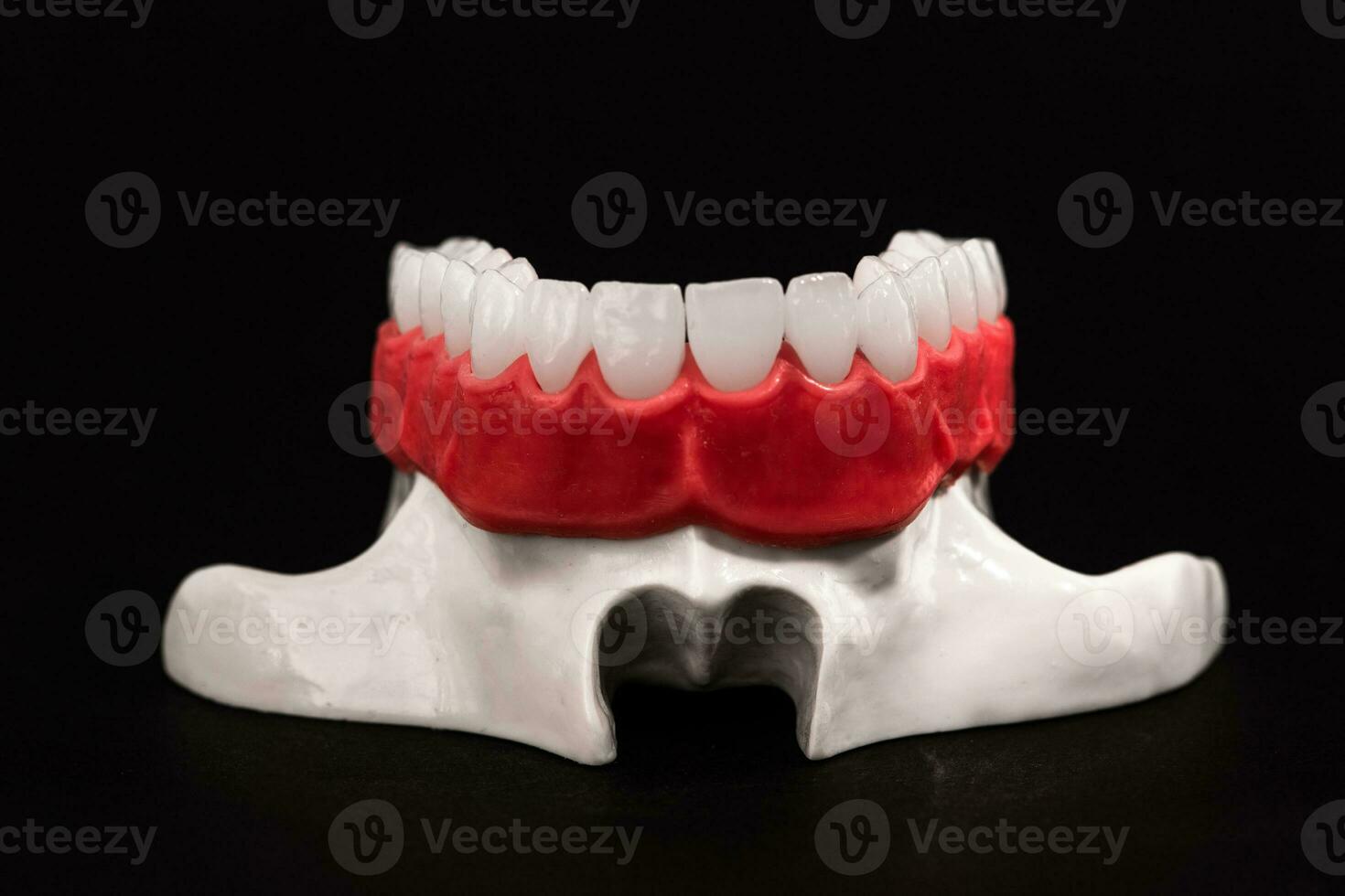 inferiore umano mascella con denti anatomia modello isolato su nero sfondo. salutare denti, dentale cura e ortodontico medico concetto. foto