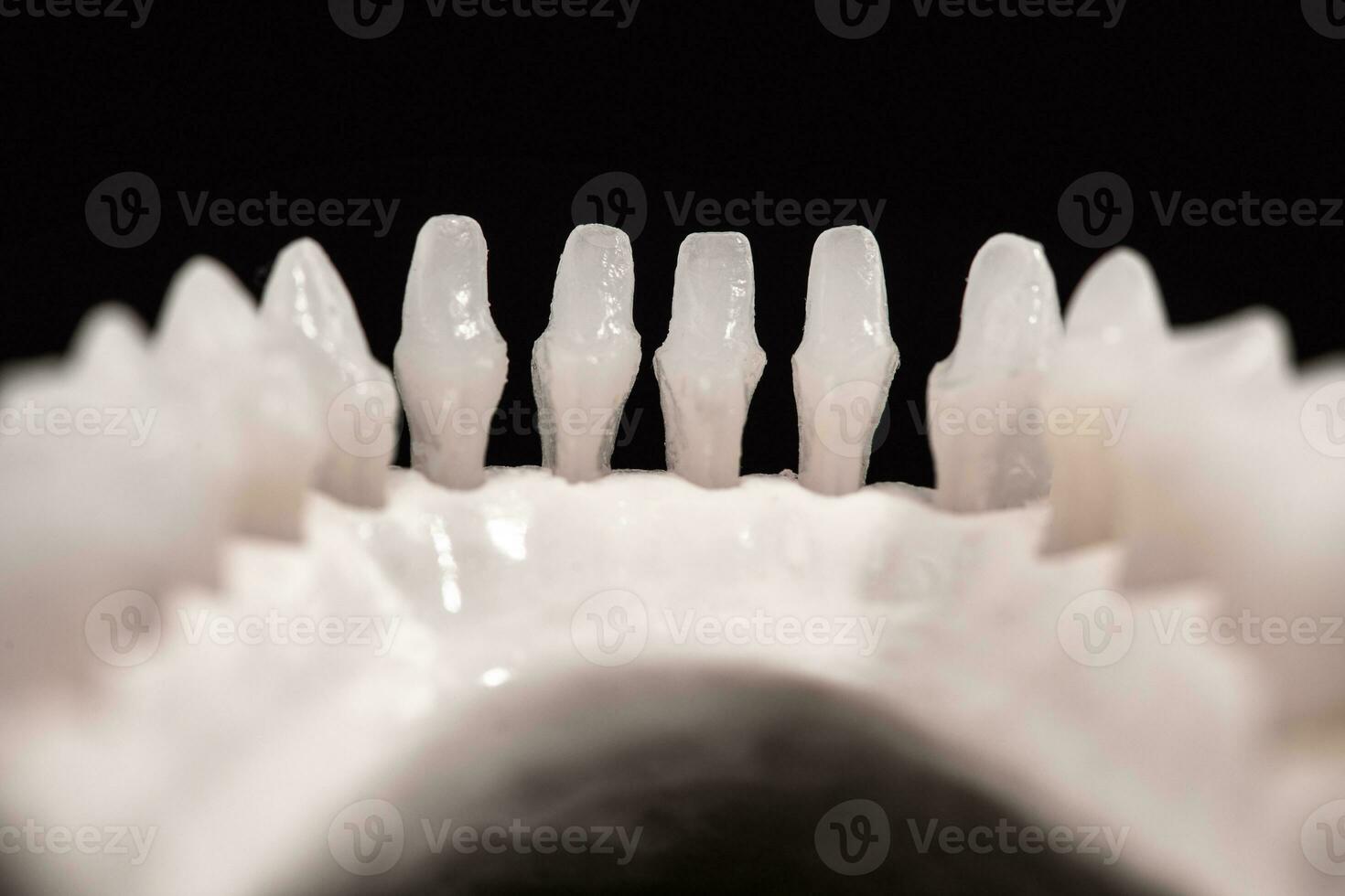 inferiore umano mascella con denti anatomia modello isolato su nero sfondo. salutare denti, dentale cura e ortodontico medico assistenza sanitaria concetto. foto