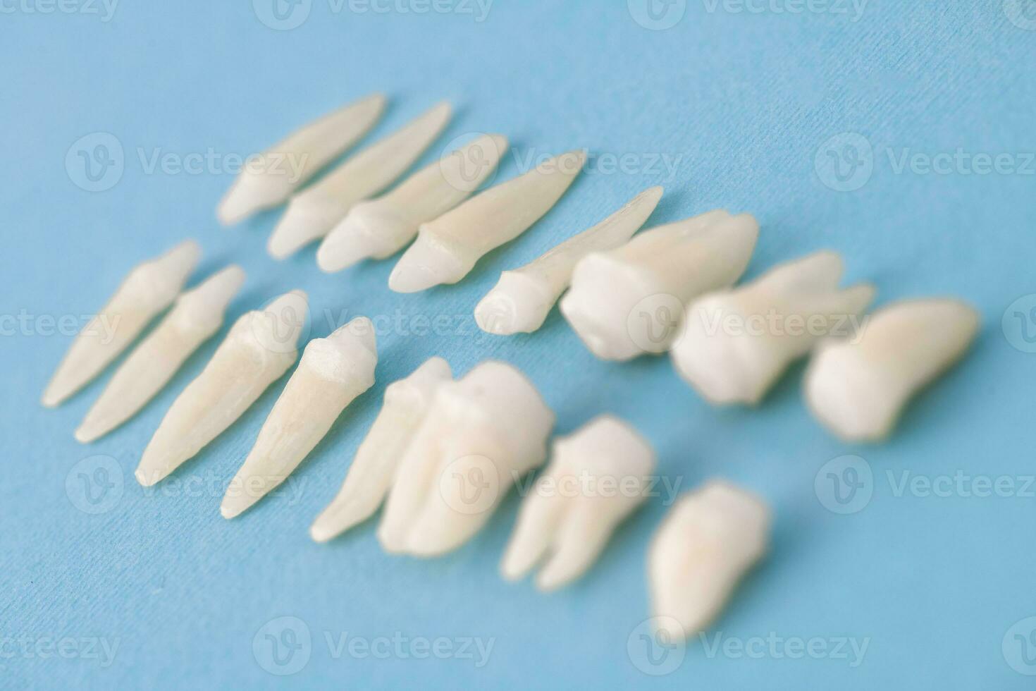 protesico odontoiatria bianca denti su nero sfondo orale dentale igiene dentale Salute concetto orale cura denti restauro superiore Visualizza. foto