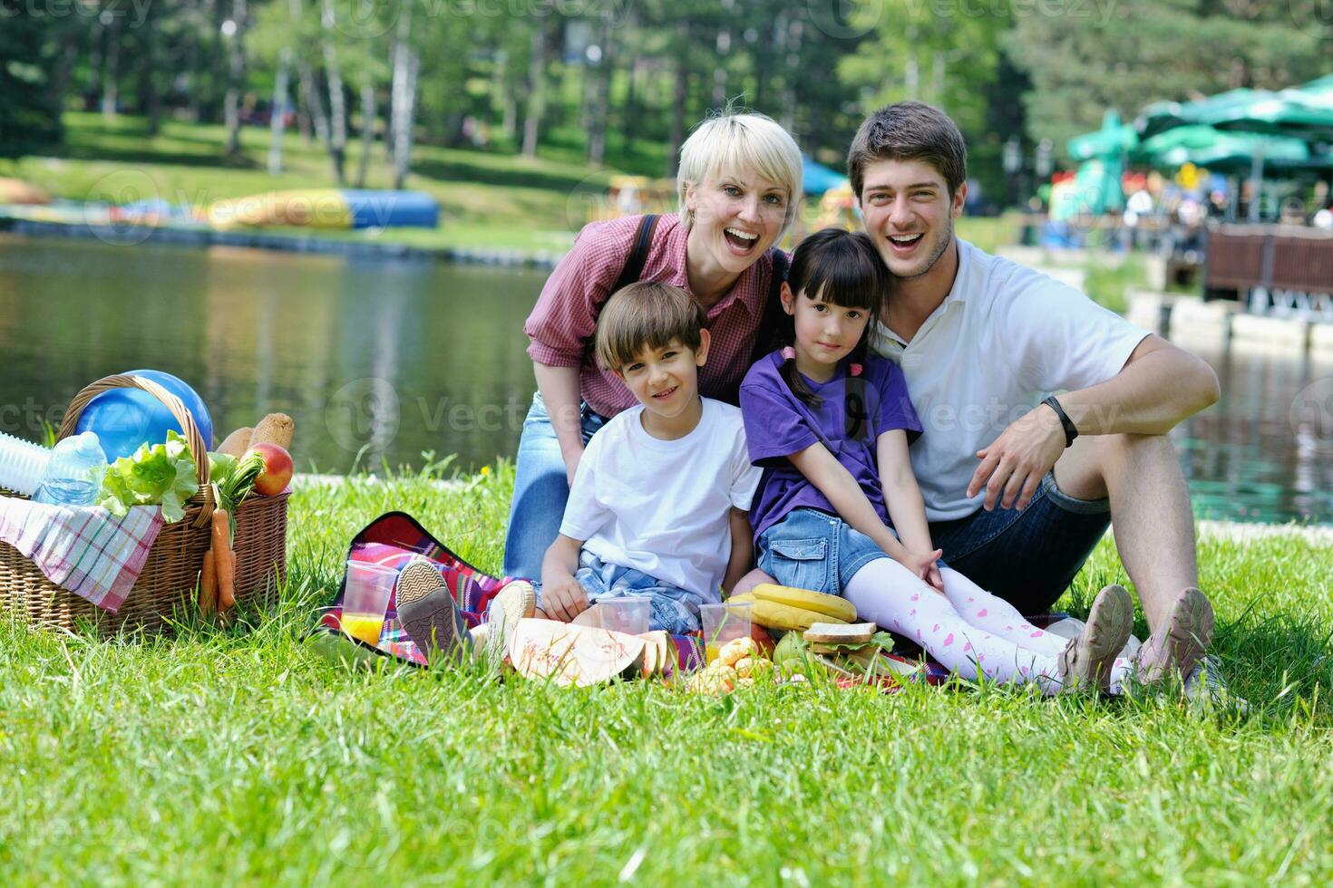 contento famiglia giocando insieme nel un' picnic all'aperto foto