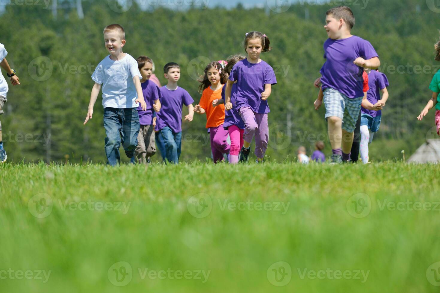 contento bambini gruppo avere divertimento nel natura foto