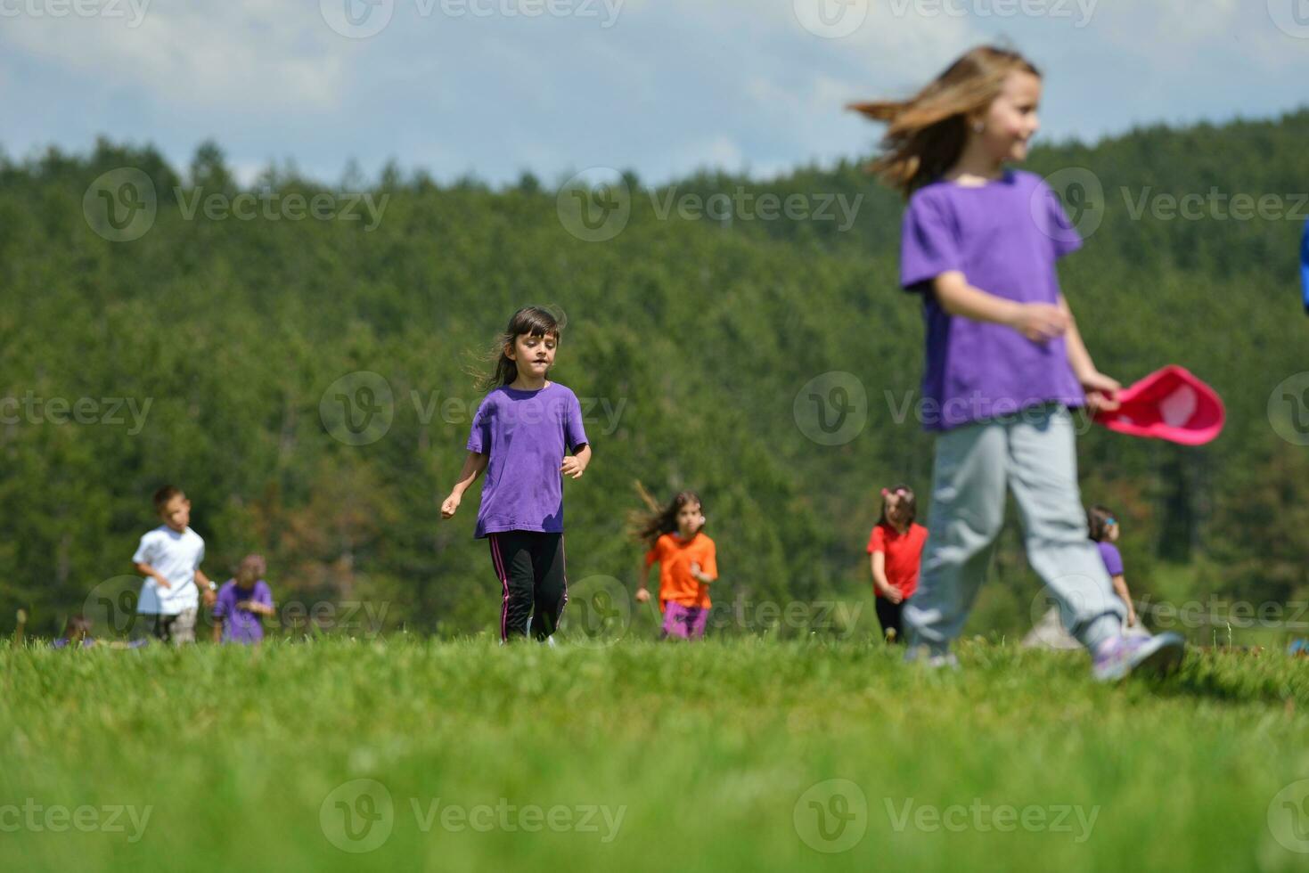 contento bambini gruppo avere divertimento nel natura foto