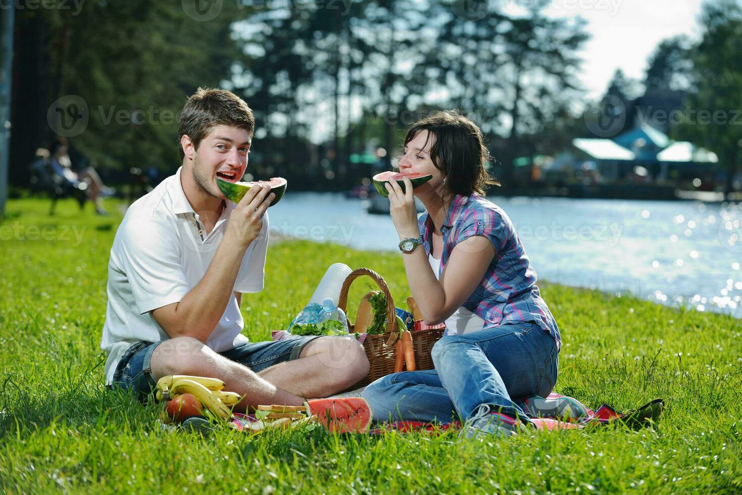 contento giovane coppia avendo un' picnic all'aperto foto