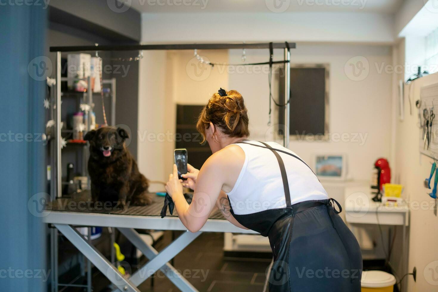 animale domestico parrucchiere donna assunzione immagini di carino nero cane foto