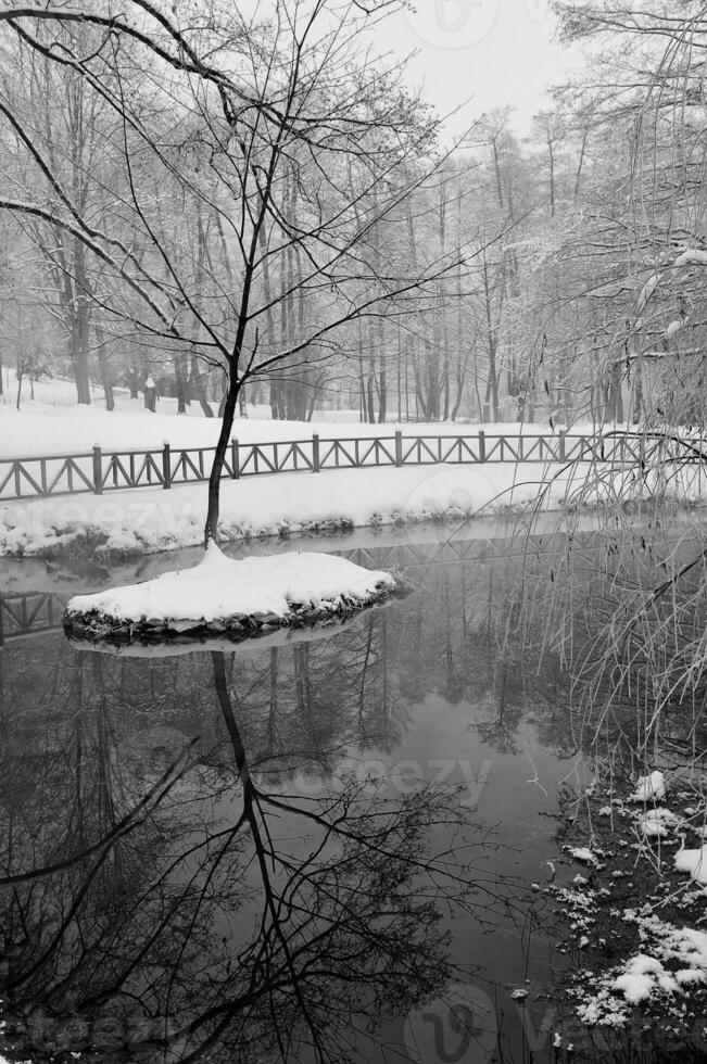 presto mattina a bellissimo inverno giorno foto