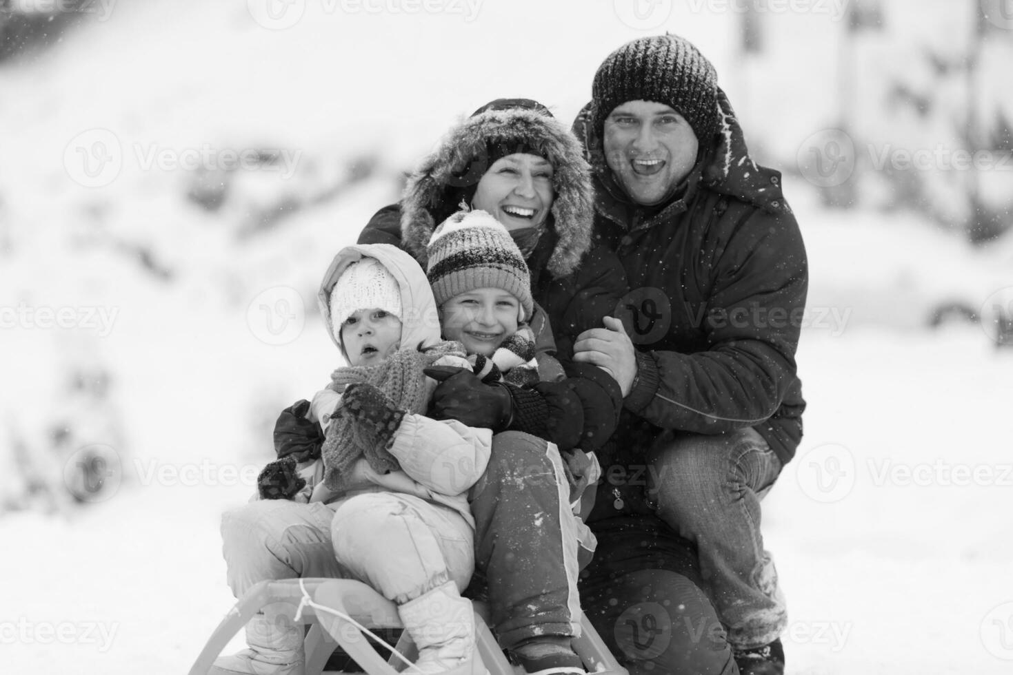 famiglia ritratto su inverno vacanza foto