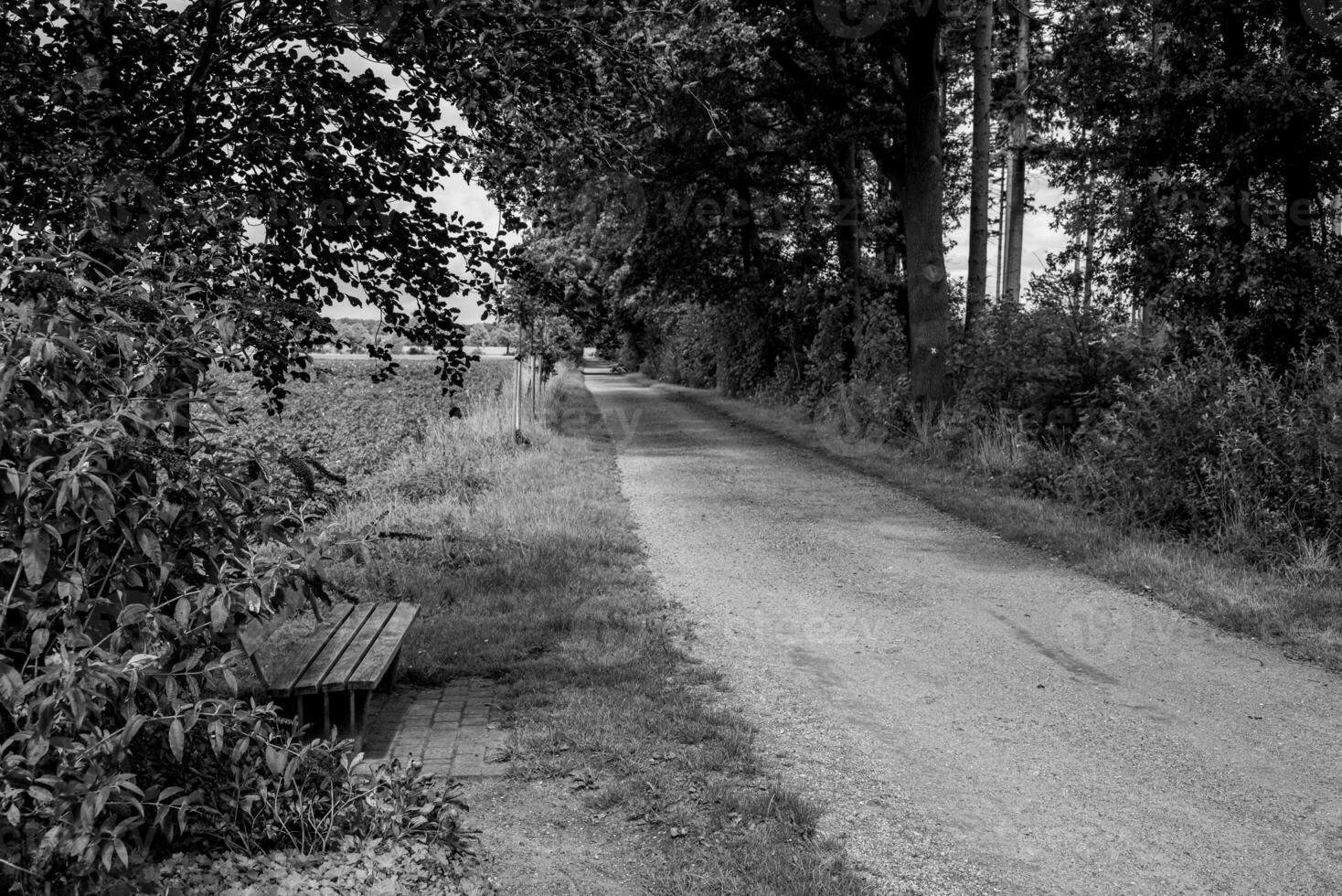 estate tempo nel westfalia foto