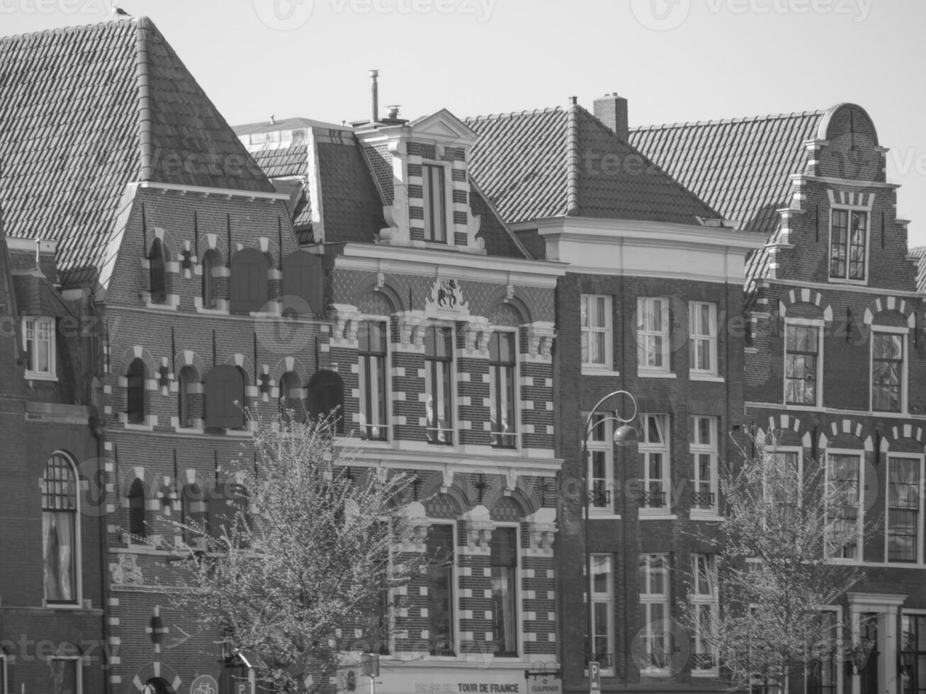 la città di haarlem nei Paesi Bassi foto