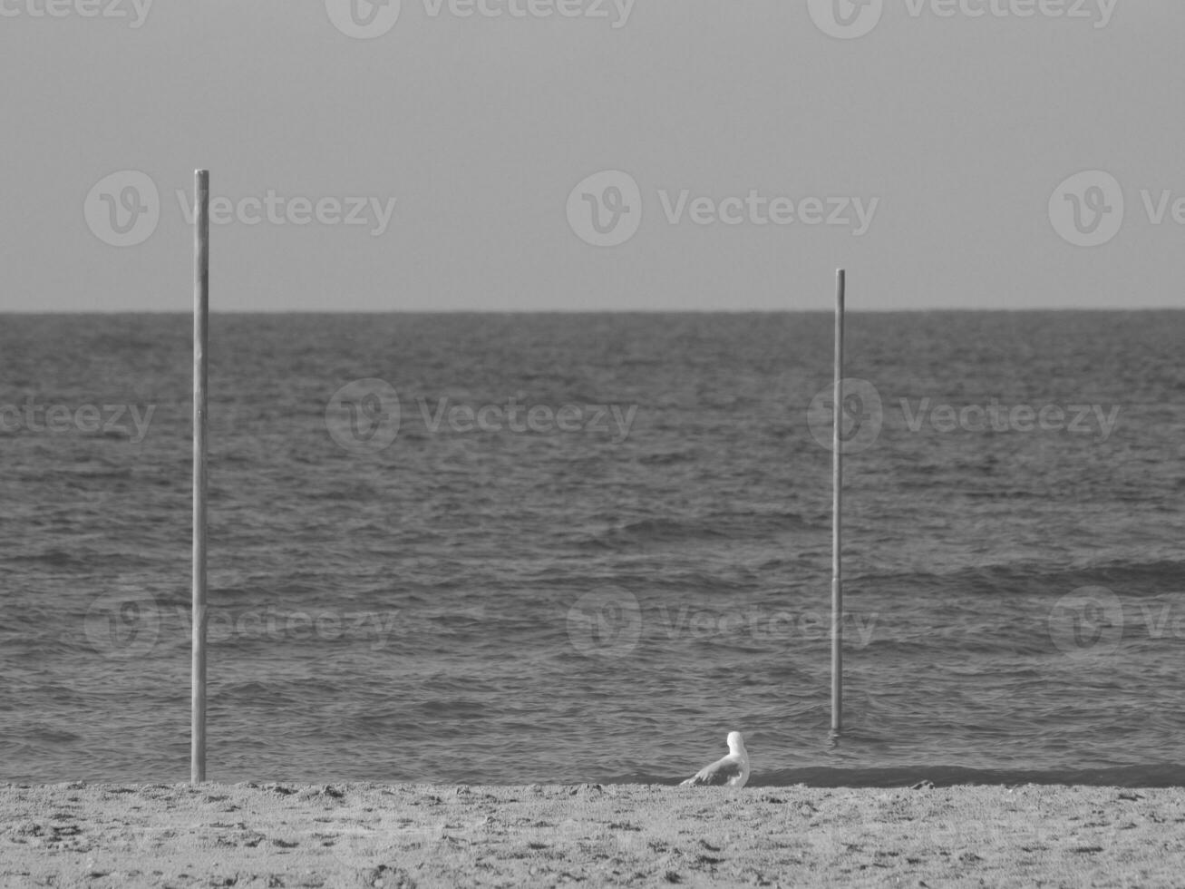 Tedesco isola nel il nord mare foto