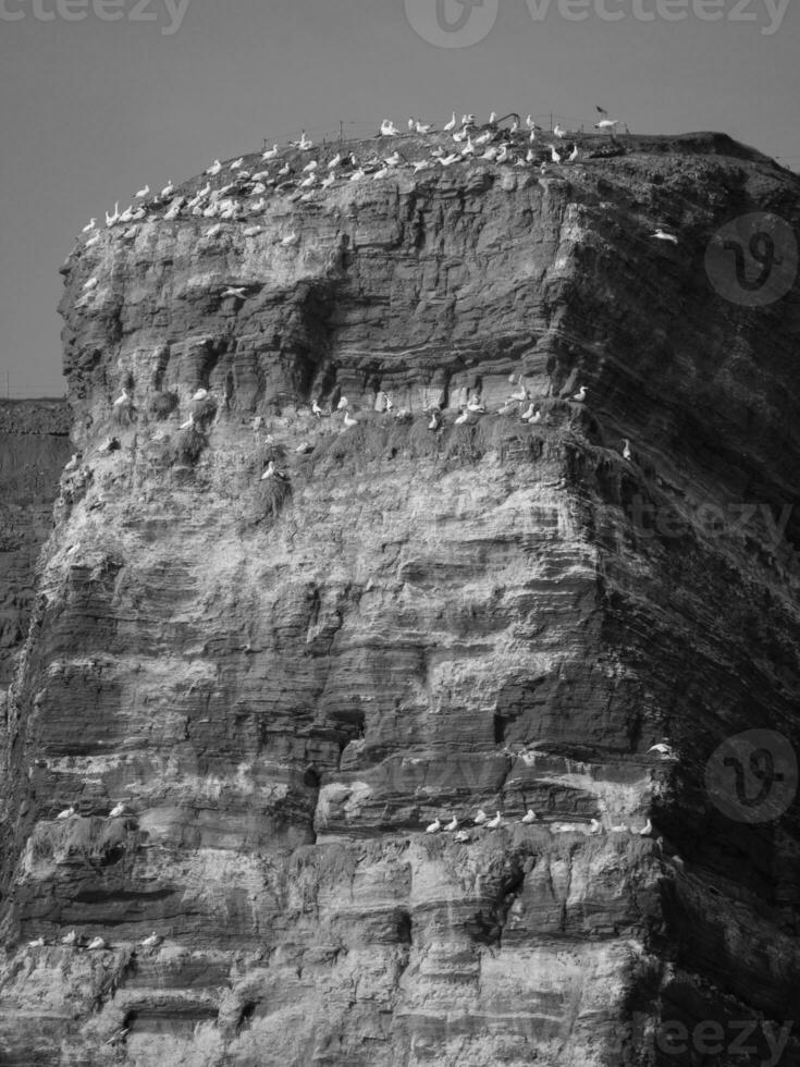 il Tedesco isola di helgoland foto