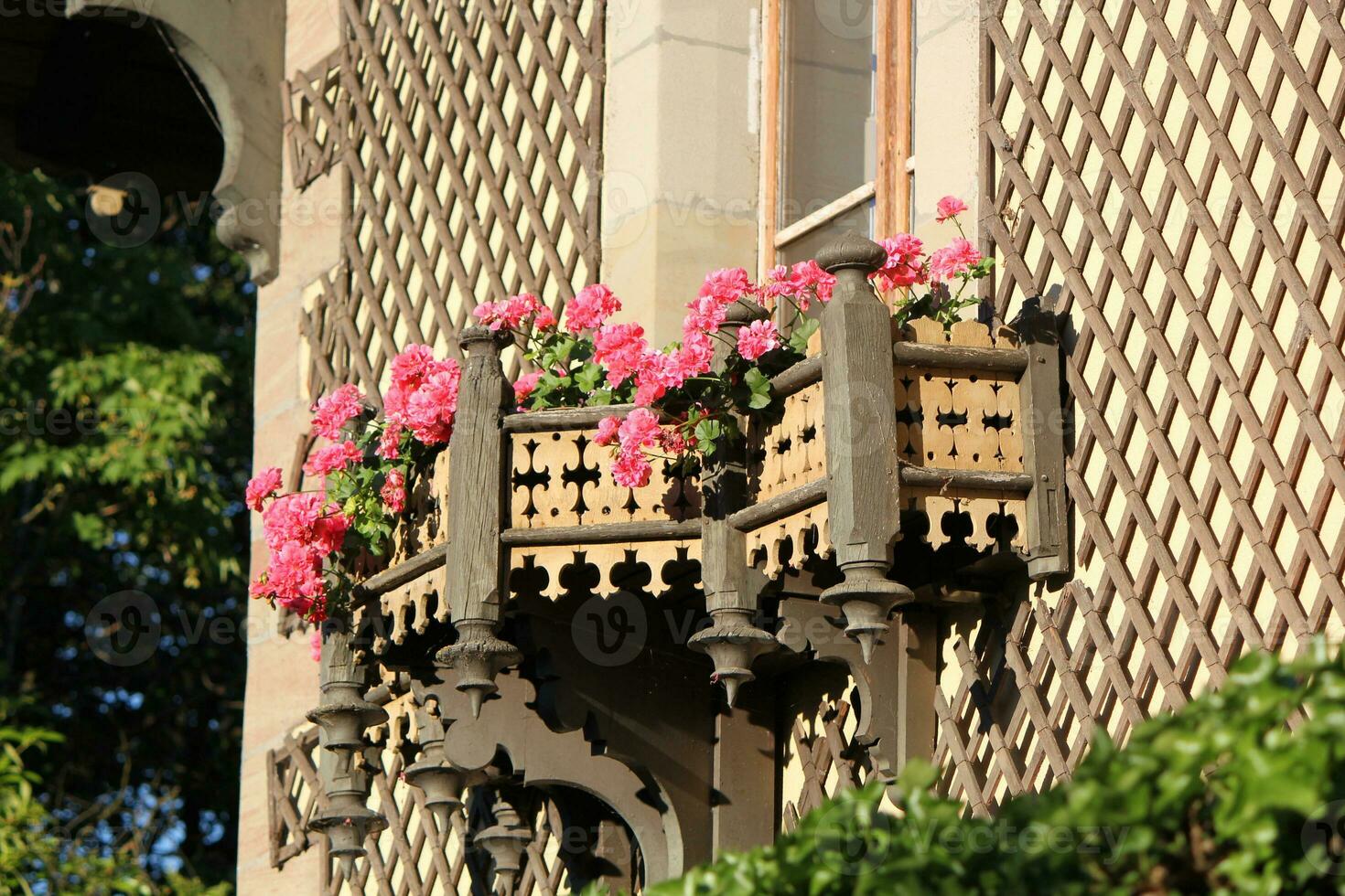 legna balcone con bellissimo rosa fiori foto