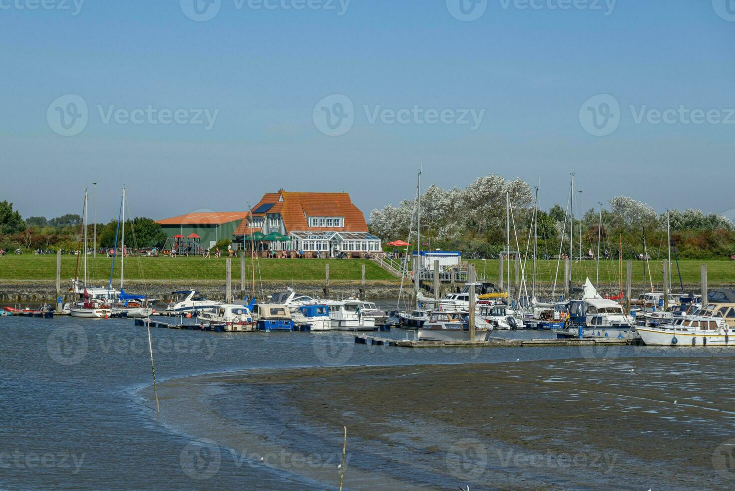 il isola di langeoog foto