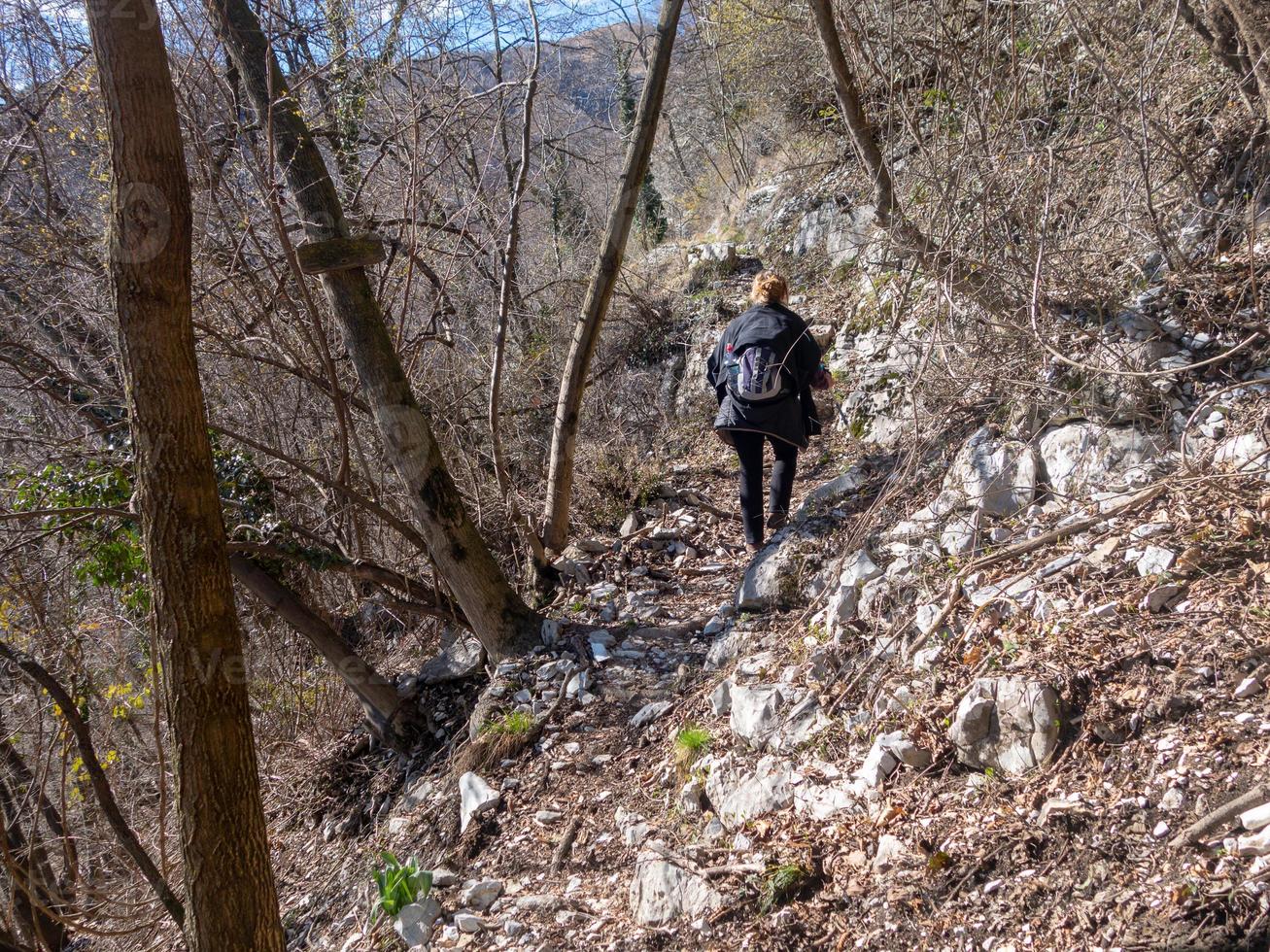 donna che cammina in salita con bastoni da passeggio scandinavi nelle alpi foto