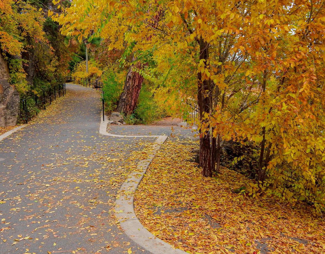 ottobre lungo l'ansa del fiume deschutes columbia park o foto