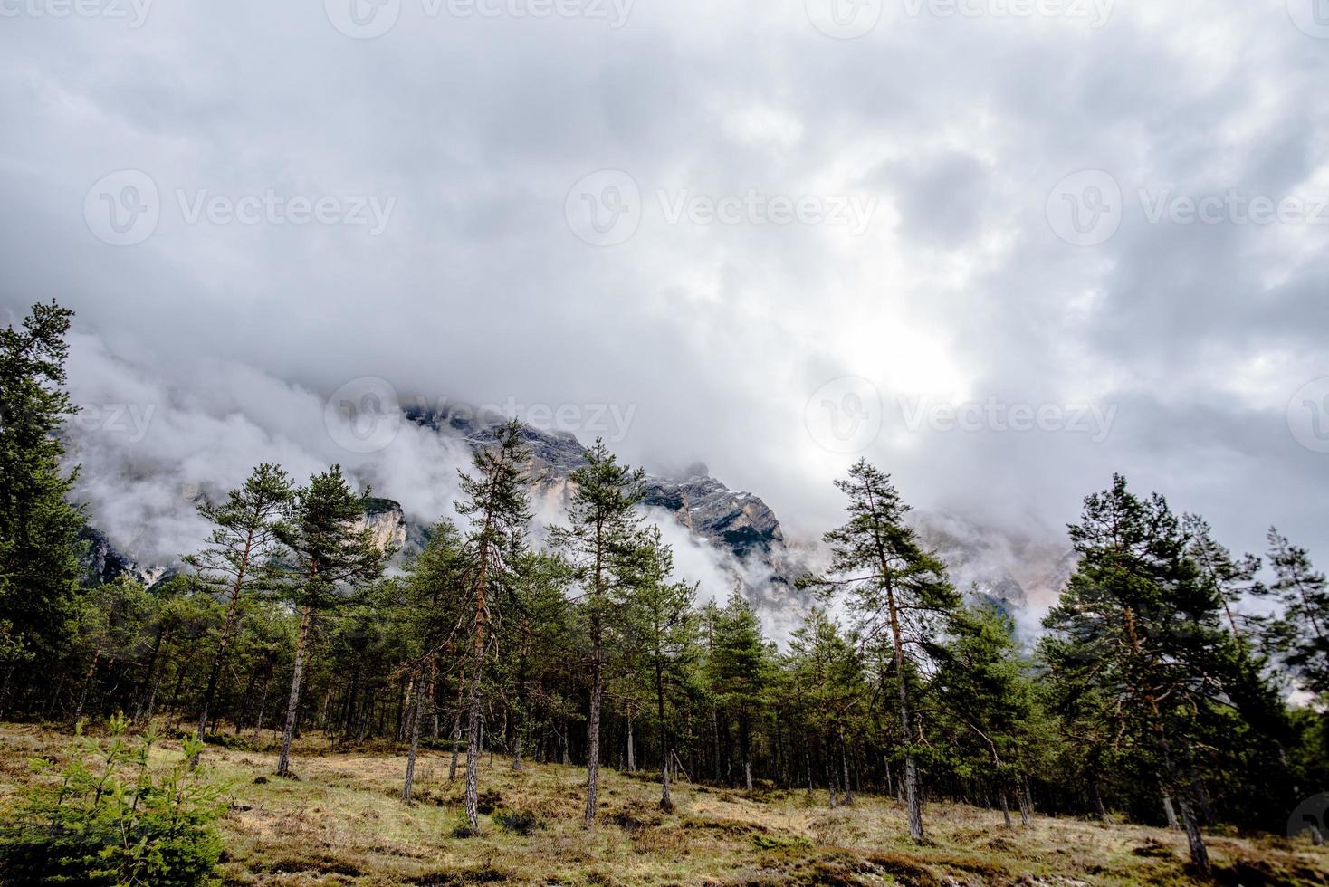 2021 05 15 pini di cortina rocce e nuvole foto