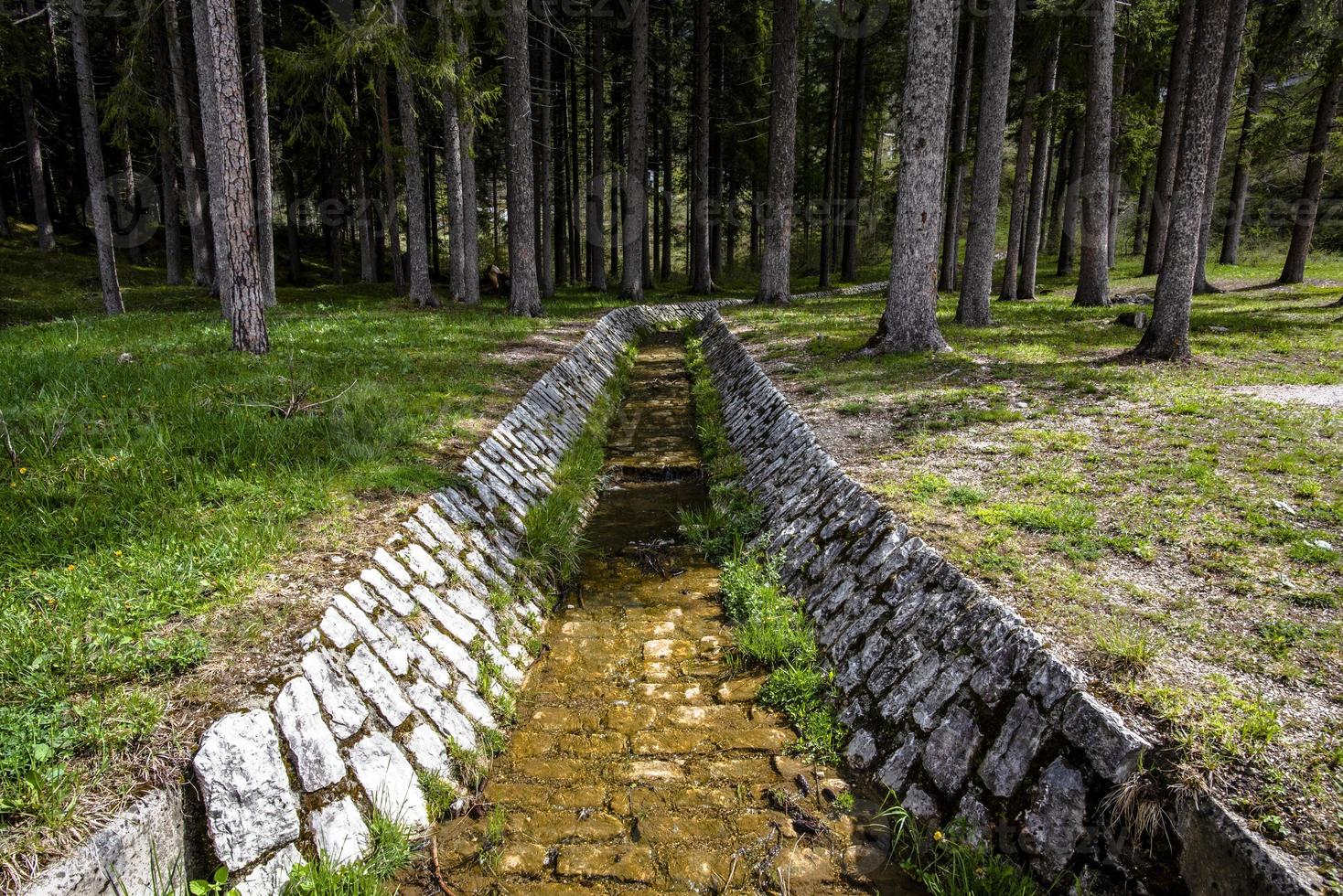 2021 05 15 canale di cortina tra i pini foto