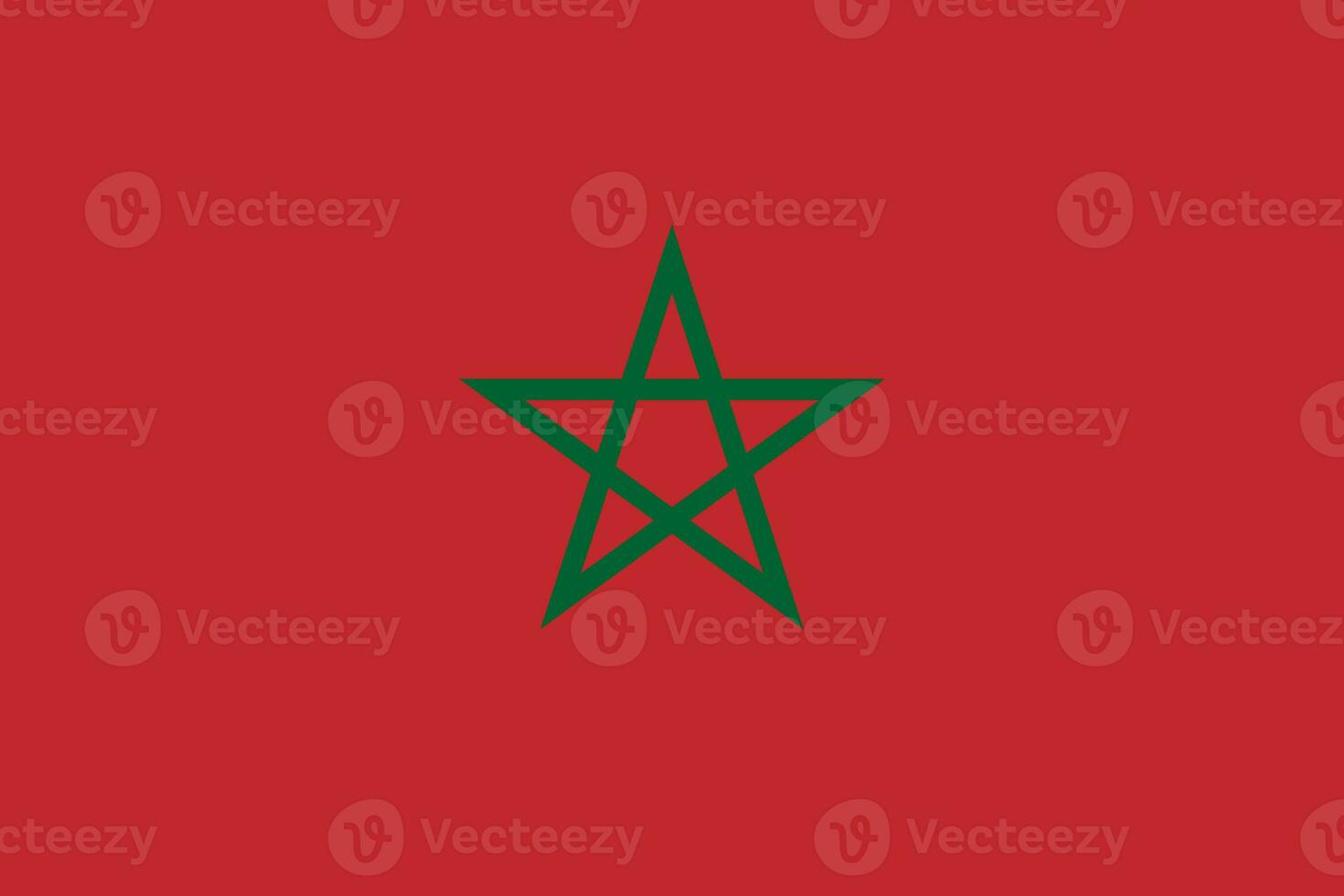 il ufficiale attuale bandiera di regno di Marocco. stato bandiera di Marocco. illustrazione. foto