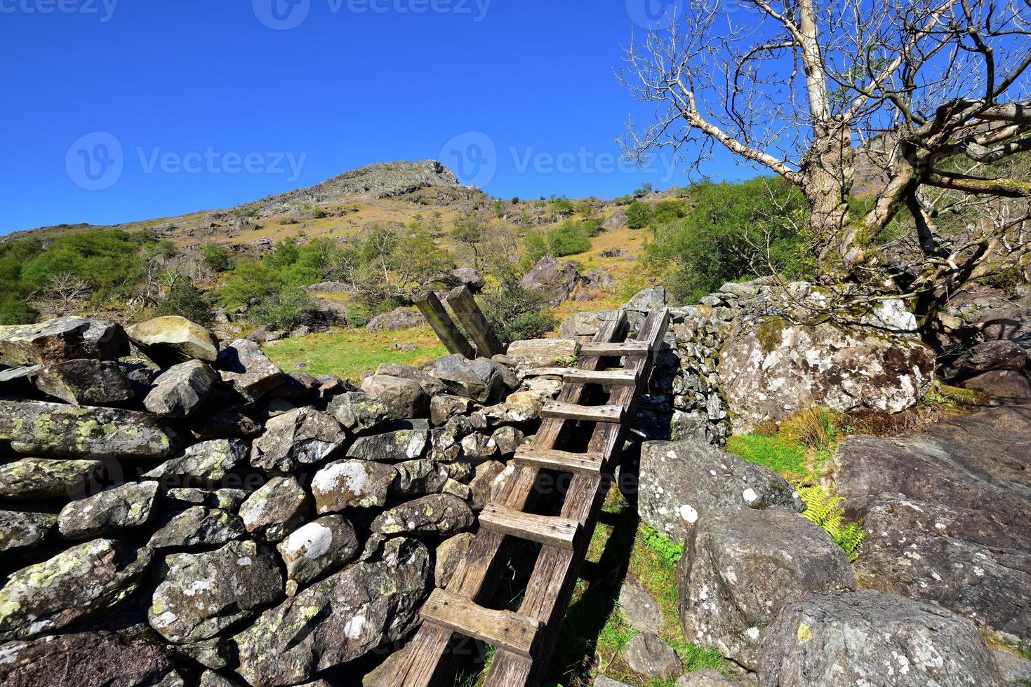 scala di legno sopra il muro a secco foto