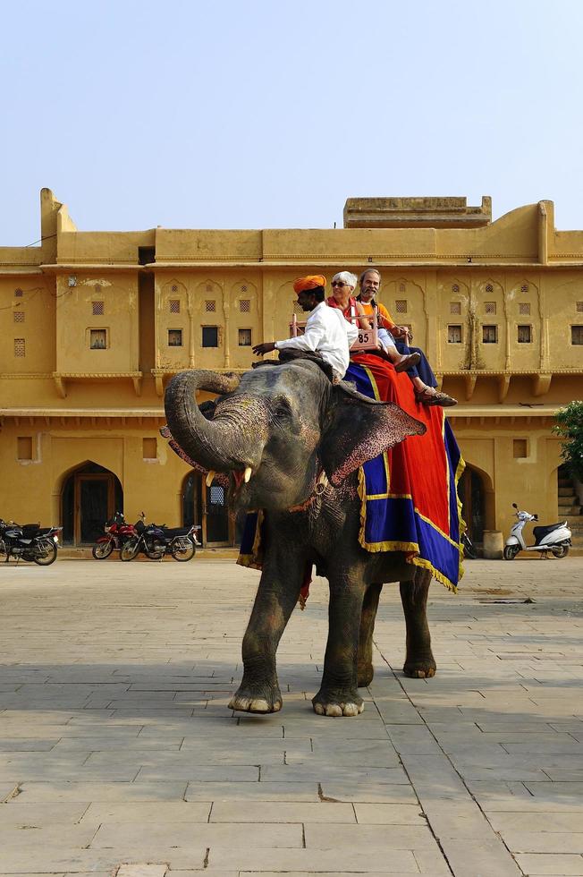 Jaipur, India - 11 novembre 2019, turisti che si godono un giro in elefante nel forte di ambra foto