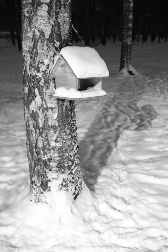 mangiatoia per uccelli in legno ricoperta di neve pesa su un tronco d'albero foto
