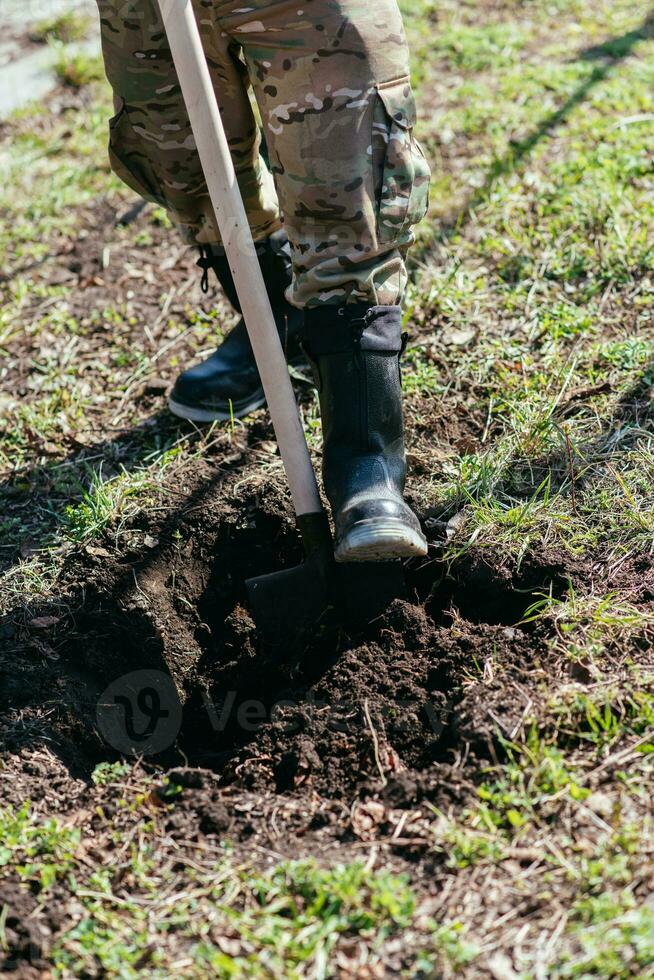 un' uomo è piantare un' giovane albero. il contadino è scavando il terra con un' pala per un' piccolo piantina. il concetto di protezione di il ambiente e ecologia foto