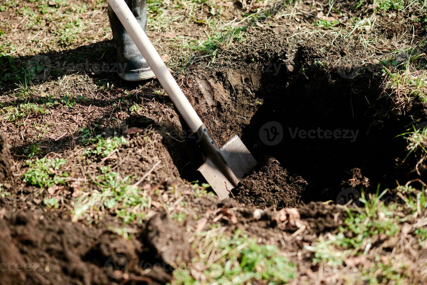un' uomo è piantare un' giovane albero. il contadino è scavando il terra con un' pala per un' piccolo piantina. il concetto di protezione di il ambiente e ecologia foto