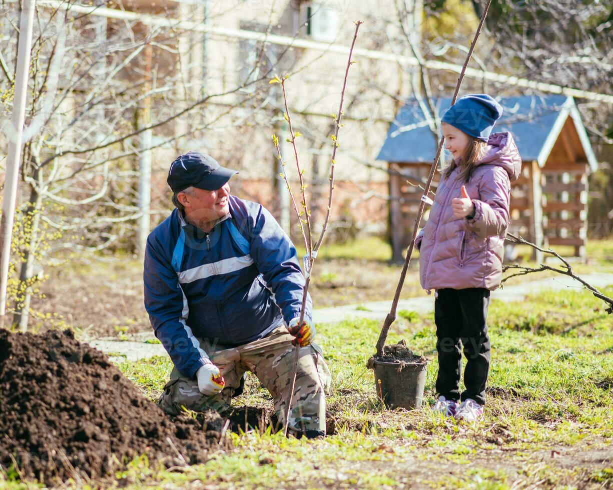 contento padre con il suo figlia piantare un' frutta albero foto